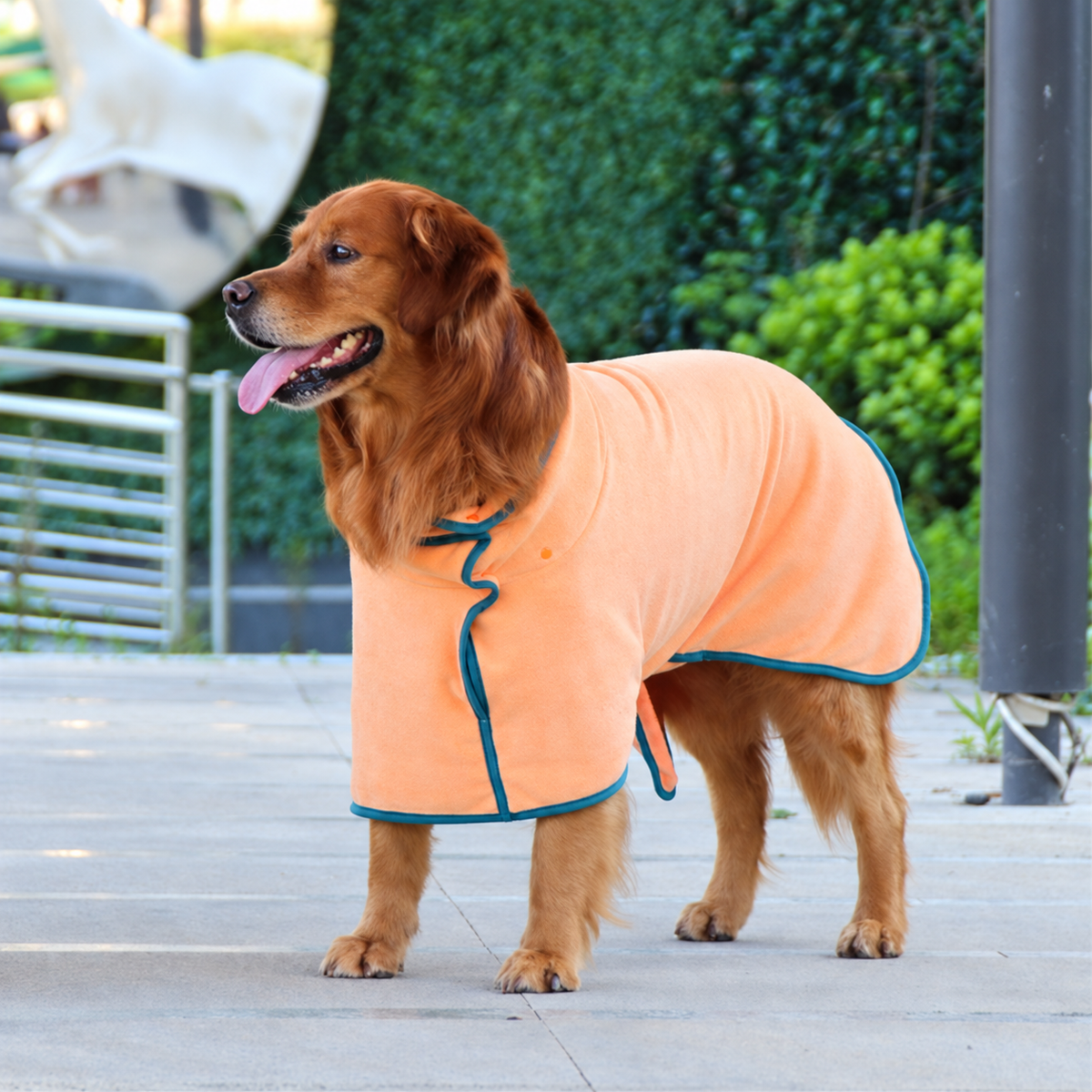 Luxurious Quick-Dry Dog Bathrobe