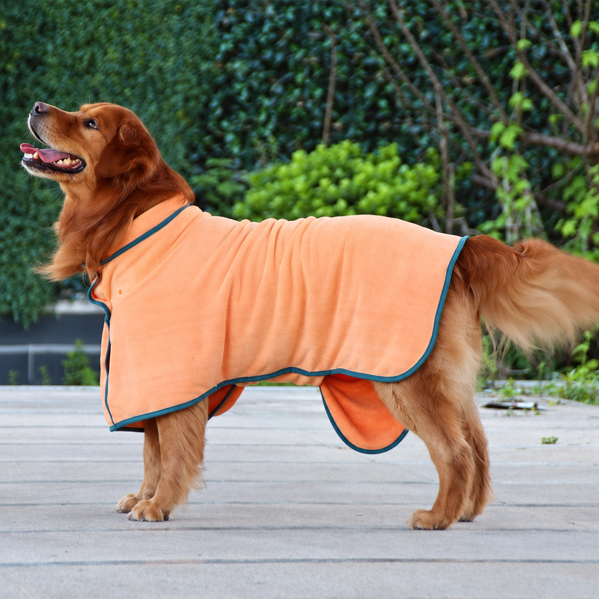Luxurious Quick-Dry Dog Bathrobe