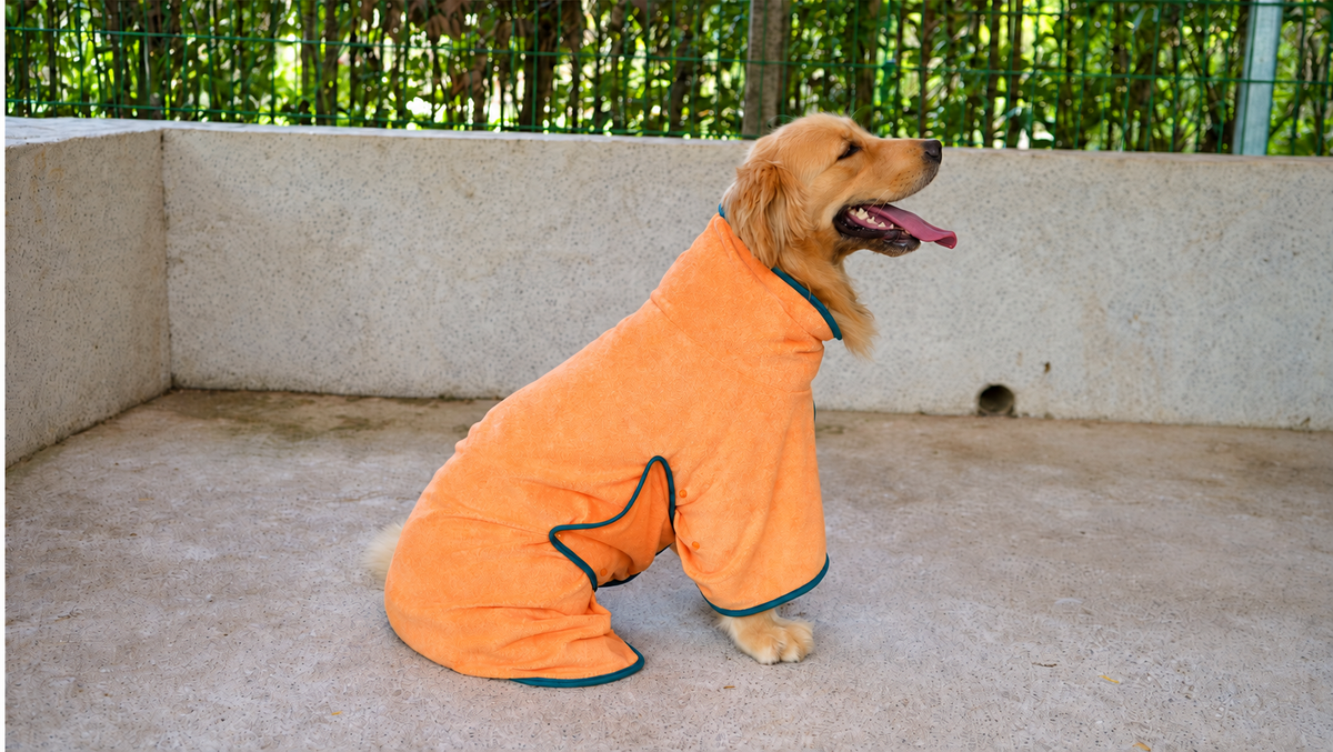 Luxurious Quick-Dry Dog Bathrobe